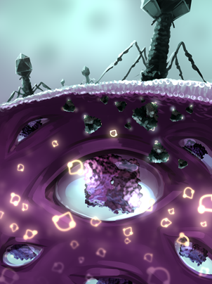 Scientific illustration process step 4: Refinement phase with color adjustments and detail enhancement