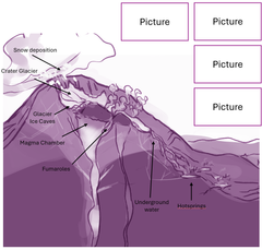 Illustration process: free consultation and project discussion