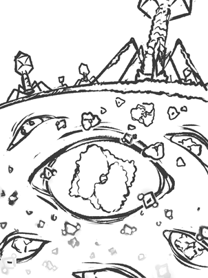 Scientific illustration process step 2: Detailed sketch development with refined linework and structure