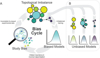 Infographic illustrating bias cycles in biomedical knowledge graphs showing data feedback loops and algorithmic bias propagation