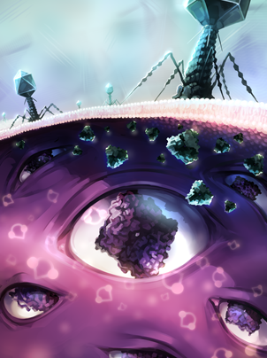 Scientific illustration process step 5: Final polished publication-ready scientific figure