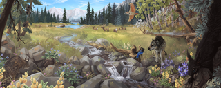 Detailed ecosystem illustration of Colorado montane region featuring native wildlife elk deer and pine forest flora biodiversity