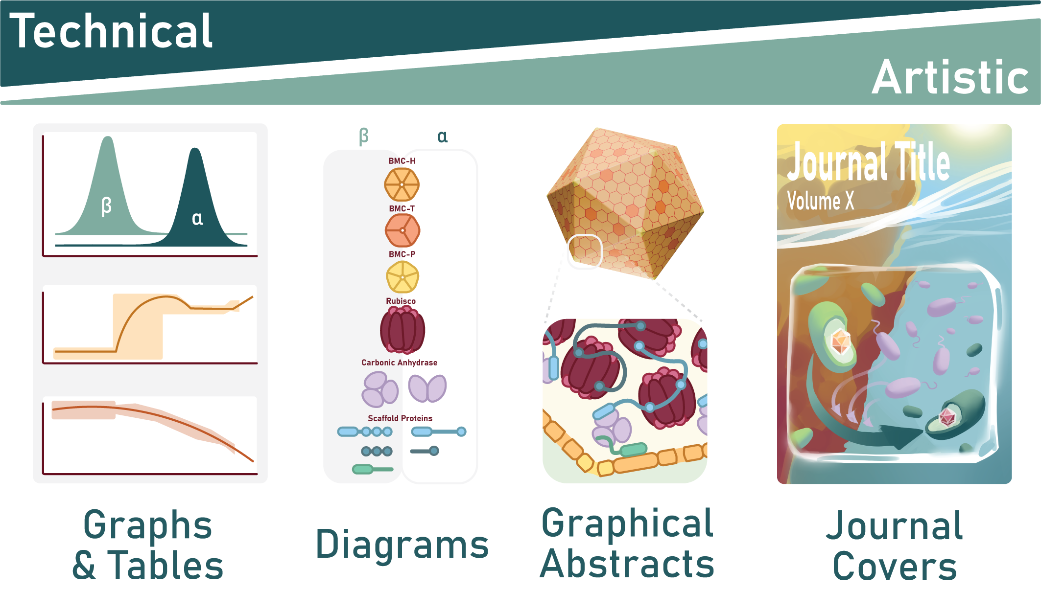 Range of scientific figure types and illustration services