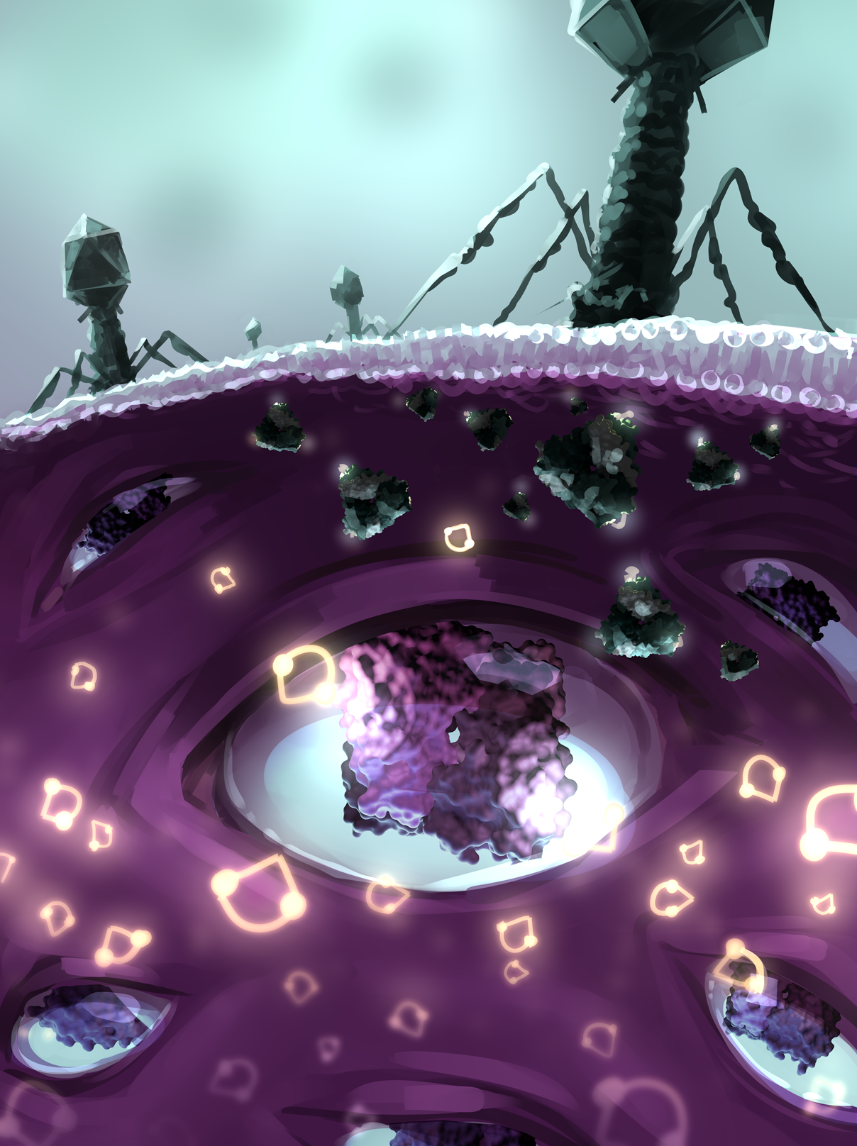 Step 4: Refinement