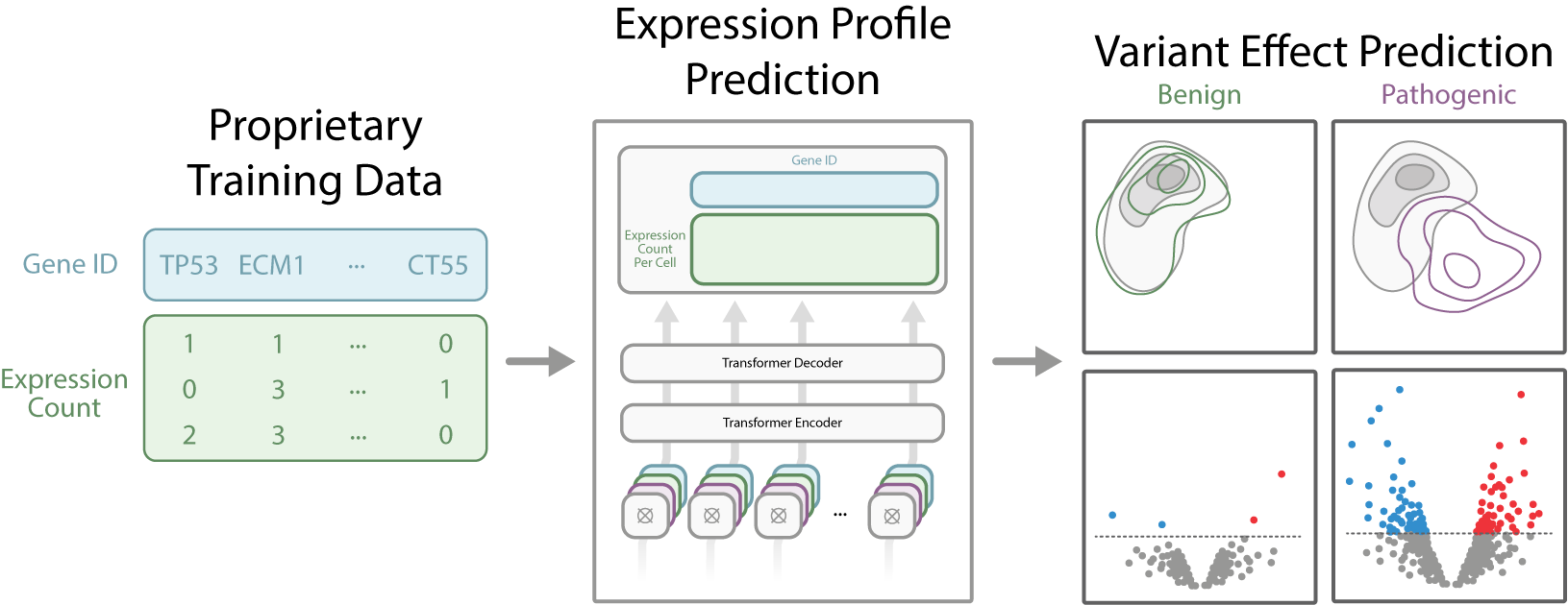 Scientific illustration example for journal publication